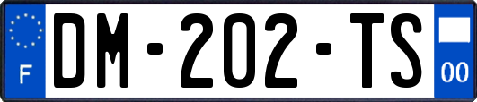 DM-202-TS
