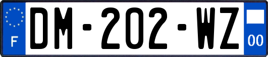 DM-202-WZ