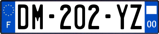 DM-202-YZ