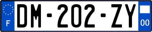 DM-202-ZY