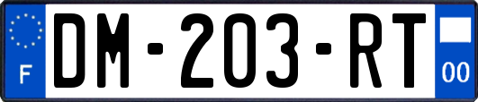 DM-203-RT