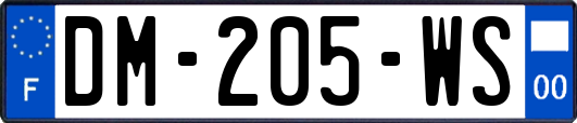 DM-205-WS