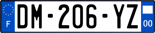 DM-206-YZ