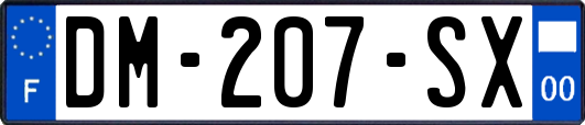 DM-207-SX