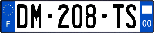DM-208-TS