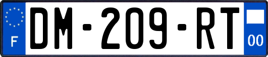 DM-209-RT