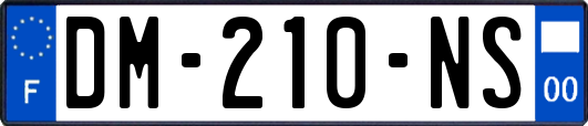 DM-210-NS
