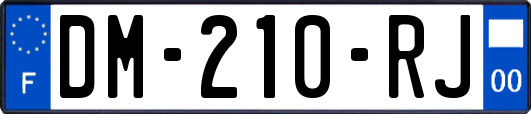 DM-210-RJ
