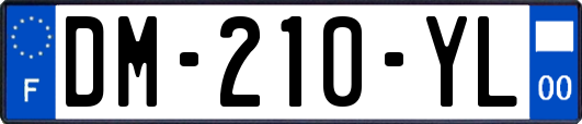 DM-210-YL