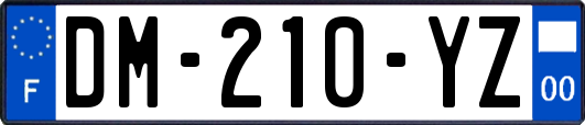 DM-210-YZ