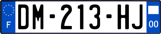 DM-213-HJ