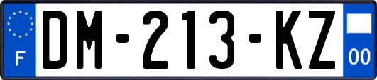DM-213-KZ
