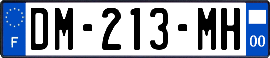 DM-213-MH