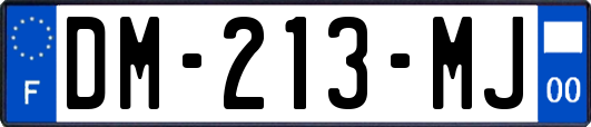 DM-213-MJ