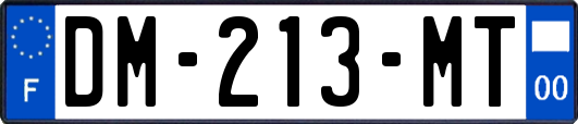 DM-213-MT