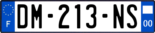 DM-213-NS