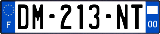DM-213-NT