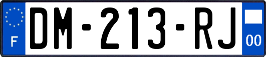 DM-213-RJ