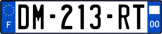 DM-213-RT