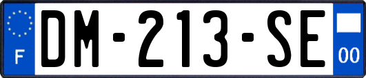 DM-213-SE