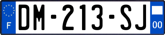 DM-213-SJ