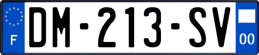DM-213-SV
