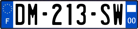 DM-213-SW