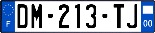 DM-213-TJ