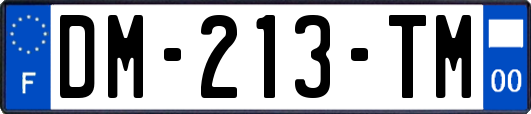 DM-213-TM