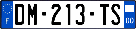 DM-213-TS