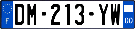 DM-213-YW