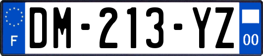 DM-213-YZ