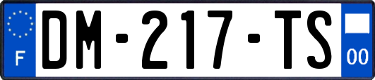 DM-217-TS