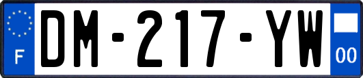 DM-217-YW