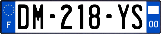 DM-218-YS