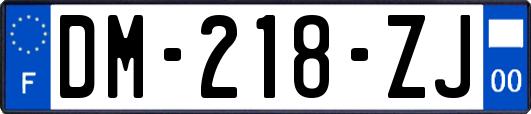 DM-218-ZJ