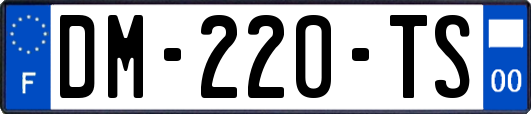 DM-220-TS