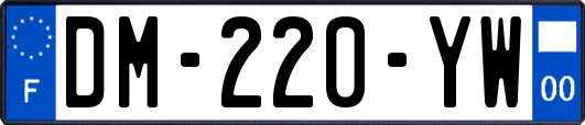 DM-220-YW