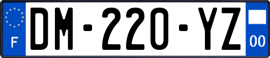 DM-220-YZ