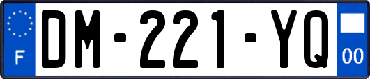 DM-221-YQ