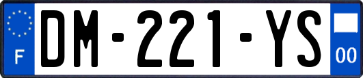 DM-221-YS