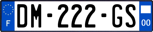 DM-222-GS