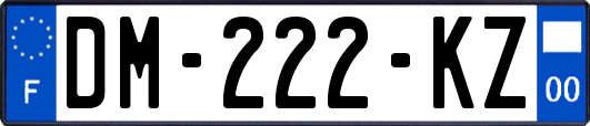 DM-222-KZ