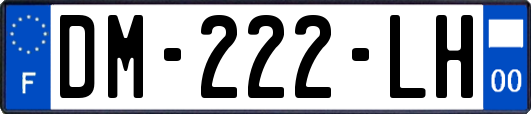 DM-222-LH