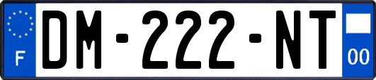 DM-222-NT