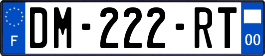 DM-222-RT