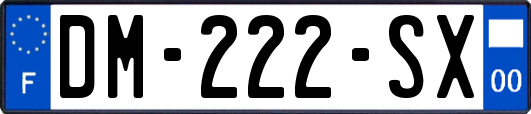 DM-222-SX