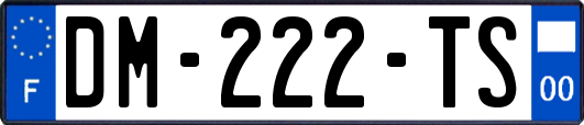 DM-222-TS