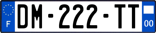 DM-222-TT