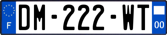 DM-222-WT